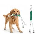 Green Sheep Tug & Enrichment Dog Toy, Interactive Rope Bone Toy with Removable Cotton Rope, Treat Dispensing Natural Rubber Dental Chew Toy for Medium and Large Dogs, Green