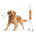 Green Sheep Tug & Enrichment Dog Toy, Interactive Rope Bone Toy with Removable Cotton Rope, Treat Dispensing Natural Rubber Dental Chew Toy for Medium and Large Dogs, Orange