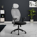 GREEN SOUL Yoga High Back Ergonomic Chair|Home, Office, WFH|1D Armrest,2D Lumbar Support Mesh Office Arm Chair