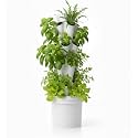 Green warrior Nova 20 Planter Vertical Hydroponic & Aeroponic Tower System With Tds Meter, Nutrients, Seeds & Coco Disc - Perfect For Home Farming & Gardening
