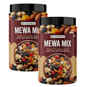 greenest dry fruits amp nuts  high energy dry fruits snack  pure healthy amp natural fit for fasting  perfect for gifting 500 gm each pack of 2 mewa mix dry fruits