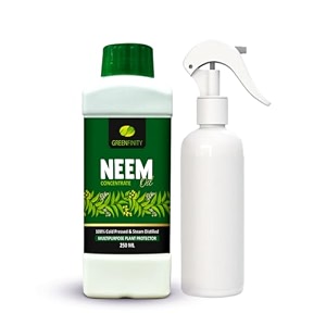 greenfinity 100 cold pressed natural neem oil concentrate 250ml for indoor amp outdoor plants  empty spray bottlesteam distilled  insecticide fungicide viricide amp miticide for natural gardening