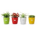 GREENON® 6 Inch Self Watering Plant Pot Set of 4 (8 Pots) White,Red,Yellow,Green Outer and Black Inner Ideal for Home, Office &amp; Tabletop Flower Pot Plants UnFadable Planter Virgin Plastic Gamla
