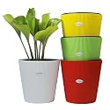 GREENON® 10 Inch Self Watering Plant Pot Set of 4 (8 Pots) | White,Yellow,Red,Green Outer &amp; Black Inner Planters | Virgin Plastic | UV Treated Gamla | Ideal for Indoor, Balcony &amp; Home Garden