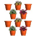 GREENRI Delux 10 Inches (Pack of 10) Heavy Duty Plastic Planters Pots, UV Resistant Flower Pot for Indoor &amp; Outdoor Use,Flawless Planters Pot Set for Home, Living Room, Balcony &amp; Garden Décor (Orange)