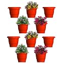 GREENRI Delux 10 Inches (Pack of 10) Heavy Duty Plastic Planters Pots, UV Resistant Flower Pot for Indoor &amp; Outdoor Use, Flawless Planters Pot Set for Home, Living Room, Balcony &amp; Garden Décor (Red)