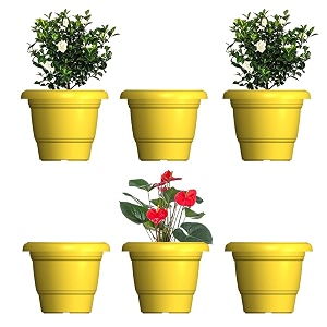 greenri delux 10 inches pack of 6 heavy duty plastic planters pots uv resistant flower pot for indoor amp outdoor use flawless planters pot set for home living room balcony amp garden dcor yellow