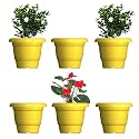 GREENRI Delux 10 Inches (Pack of 6) Heavy Duty Plastic Planters Pots, UV Resistant Flower Pot for Indoor &amp; Outdoor Use, Flawless Planters Pot Set for Home, Living Room, Balcony &amp; Garden Décor (Yellow)