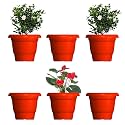 GREENRI Delux 10 Inches (Pack of 6) Heavy Duty Plastic Planters Pots, UV Resistant Flower Pot for Indoor &amp; Outdoor Use, Flawless Planters Pot Set for Home, Living Room, Balcony &amp; Garden Décor (Red)