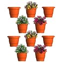 GREENRI Delux 12 Inches (Pack of 10) Heavy Duty Plastic Planters Pots, UV Resistant Flower Pot for Indoor &amp; Outdoor Use,Flawless Planters Pot Set for Home, Living Room, Balcony &amp; Garden Décor (Orange)