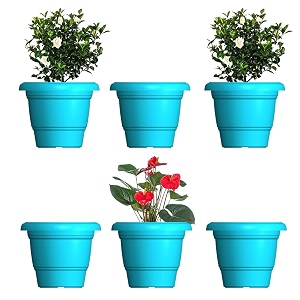 greenri delux 12 inches pack of 6 heavy duty plastic planters pots uv resistant flower pot for indoor amp outdoor use flawless planters pot set for home living room balcony amp garden dcor blue