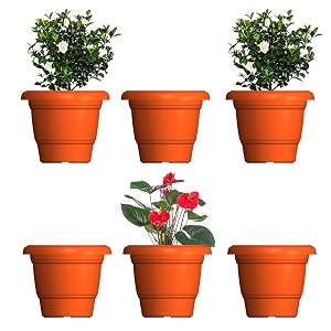 greenri delux 12 inches pack of 6 heavy duty plastic planters pots uv resistant flower pot for indoor amp outdoor use flawless planters pot set for home living room balcony amp garden dcor orange