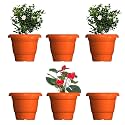 GREENRI Delux 12 Inches (Pack of 6) Heavy Duty Plastic Planters Pots, UV Resistant Flower Pot for Indoor &amp; Outdoor Use, Flawless Planters Pot Set for Home, Living Room, Balcony &amp; Garden Décor (Orange)