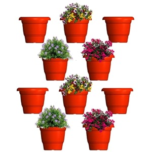 greenri delux 8 inches pack of 10 heavy duty plastic planters pots uv resistant flower pot for indoor amp outdoor use flawless planters pot set for home living room balcony amp garden dcor red