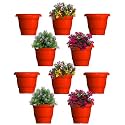 GREENRI Delux 8 Inches (Pack of 10) Heavy Duty Plastic Planters Pots, UV Resistant Flower Pot for Indoor &amp; Outdoor Use, Flawless Planters Pot Set for Home, Living Room, Balcony &amp; Garden Décor (Red)