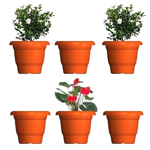 greenri delux 8 inches pack of 6 heavy duty plastic planters pots uv resistant flower pot for indoor amp outdoor use flawless planters pot set for home living room balcony amp garden dcor orange