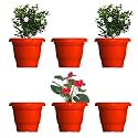 GREENRI Delux 8 Inches (Pack of 6) Heavy Duty Plastic Planters Pots, UV Resistant Flower Pot for Indoor &amp; Outdoor Use, Flawless Planters Pot Set for Home, Living Room, Balcony &amp; Garden Décor (Red)