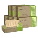Greenwish Bamboo Soft Facial Tissue Box-100pulls (Pack of 08) | 100% Biodegradable, Eco friendly and Chemical Free | Car Tissue Box