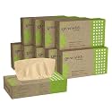 Greenwish Bamboo Soft Facial Tissue Box-100pulls (Pack of 10) | 100% Biodegradable, Eco friendly and Chemical Free | Car Tissue Box