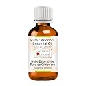 Greenwood Essential Citriodora Essential Oil (Eucalyptus citriodora) Pure | Non-Sticky | Non-greasy | Lightweight | Men &amp; Women | All Skin Types | Steam Distilled 50ml