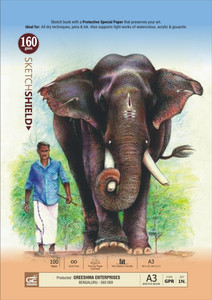 Greeshma A3 Artist Drawing Book - 100