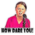 Greta Thunberg Truck Car RV Van ATV How Dare You - Sticker Graphic - Weatherproof & Long Lasting Sticker