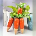 Terracotta Water Dripper Spikes for Plants | Cute, Natural, Carefree, and Sustainable | Enhance Plant Experience | Interesting Gift Idea | Happy Holidays (4, Bear)