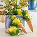 Terracotta Water Dripper Spikes for Plants | Cute, Natural, Carefree, and Sustainable | Enhance Plant Experience | Interesting Gift Idea | Happy Holidays (Frog I, 4)