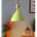 GreyWings Hanging Bell Shade Light, Moss Green, Pack of 1