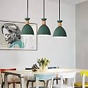 Groeien Modern Pendant Nordic Wooden Indoor Lighting Hanging Fixture Lights Minimalist Lamp Dining Room Pendant Lamps Indoor Decoration Home (1, Black)