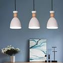 Groeien Modern Pendant Nordic Wooden Indoor Lighting Hanging Fixture Lights Minimalist Lamp Dining Room Pendant Lamps Indoor Decoration Home (1, Black)