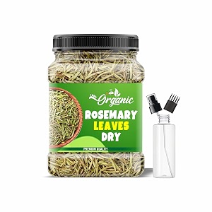 groly organic rosemary dried leaves 100gm with free 100ml spray amp applicator bottle  rosemary dry leaves for hair growth  culinary herb amp tea  fresh aroma  natural hair care