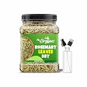 Groly Organic Rosemary Leaves with Free 100ml Spray bottle & Applicator bottle | Rosemary for Food, Hair care, Herbal Tea | Rosemary Leaves,500 gram