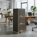 GROTHEORY Space Efficient Multi-Layer Storage Cabinet for Home Plastic Close Book Shelf