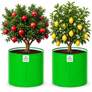 Grow Bag UV Protected 260 GSM