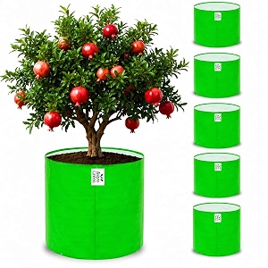 Grow Bag UV Protected 260 GSM