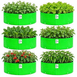Grow Bag UV Protected 260 GSM