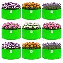 Grow Bag UV Protected 260 GSM 