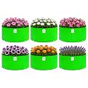 Grow Bag UV Protected 260 GSM 