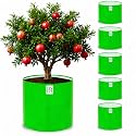 Grow Bag UV Protected 260 GSM 