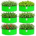 Grow Bag UV Protected 260 GSM 