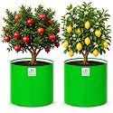 Grow Bag UV Protected 260 GSM 