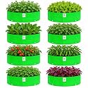 Grow Bag UV Protected 260 GSM 