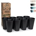 Grow Forward Premium Wheat Straw Cups - 20 oz Unbreakable BPA Free Hard Plastic Cups - Reusable Lightweight Plastic Drinking Glasses for Kitchen, Outdoor, Water, Camping, RV - Midnight