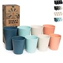 Grow Forward Premium Wheat Straw Cups - 13 & 20 oz Unbreakable BPA Free Hard Plastic Cups - Reusable Lightweight Plastic Drinking Glasses for Kitchen, Outdoor, Water, Camping, RV - Tropical