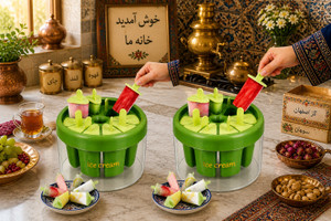 GROWA Reusable Green Kulfi Maker Combo Popsicle