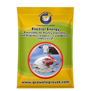 growel electral powder  electrolytes with vitamins minerals and probiotics for poultry cattle horses pigs goats sheep pigeons and birds  500 gm