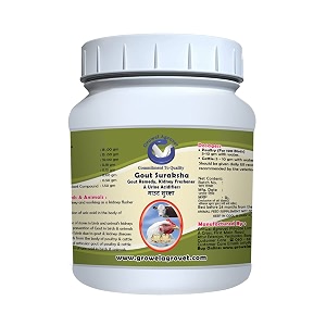 growel gout suraksha  gout supplements for poultry pet birds and pigeons  100 gm