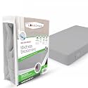 Guardmax Queen Mattress Protector Zippered, Bed Bug Mattress Cover