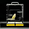 GuineaLoft™ Model-ETO Crystal Clear Acrylic Bird Cage